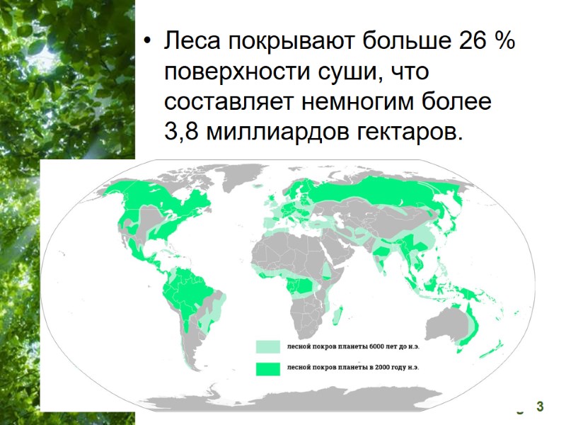 Леса покрывают больше 26 % поверхности суши, что составляет немногим более 3,8 миллиардов гектаров.
